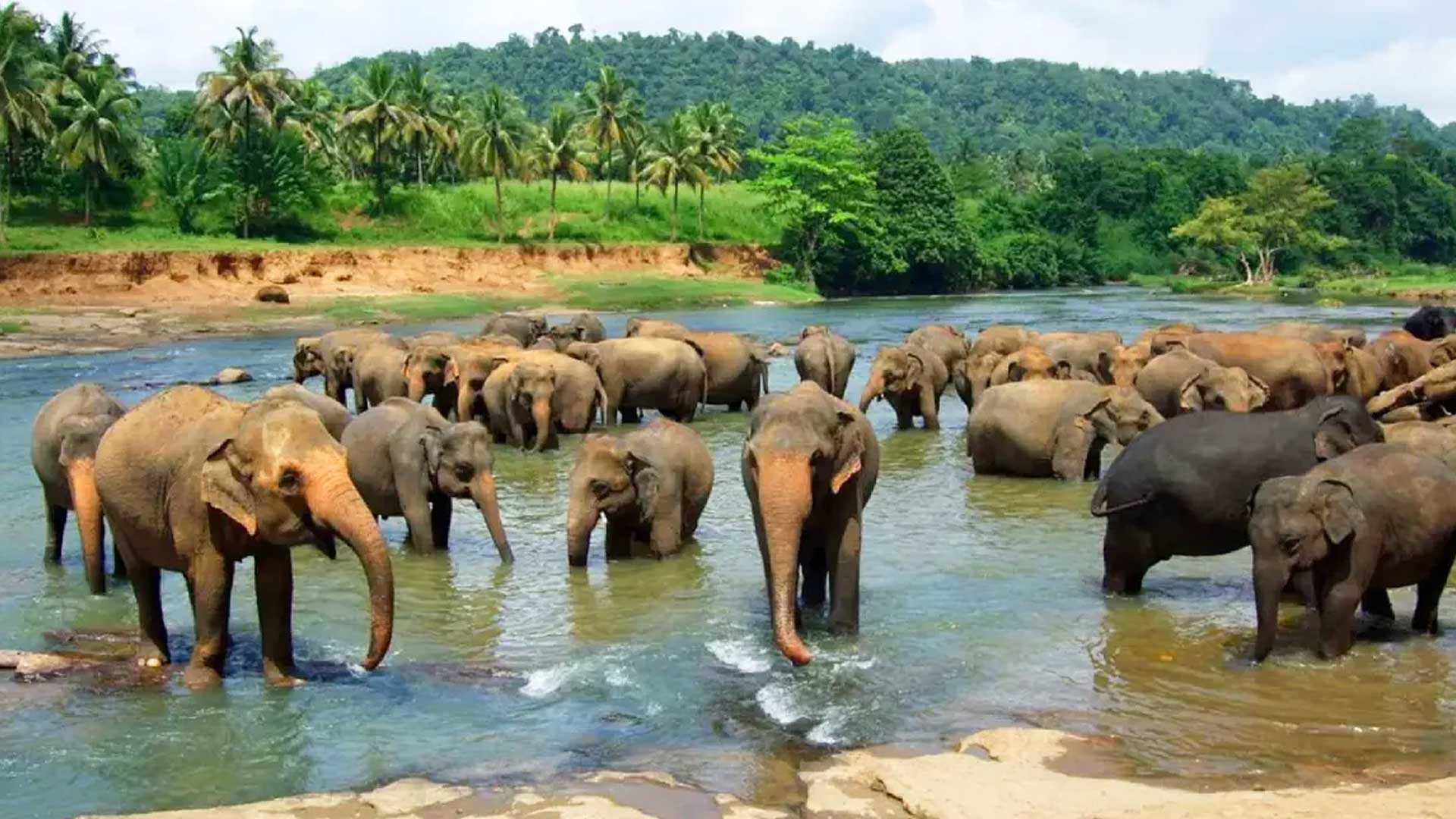 Voy Lanka